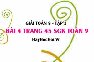Giải bài 4 trang 45 SGK Toán 9 tập 1